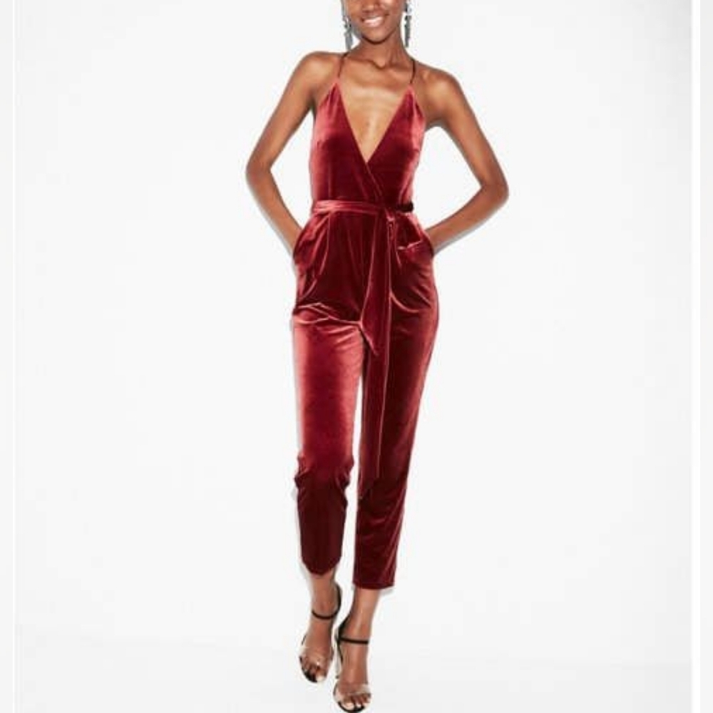 NWT EXPRESS Velvet Jumpsuit in Wine size 6
